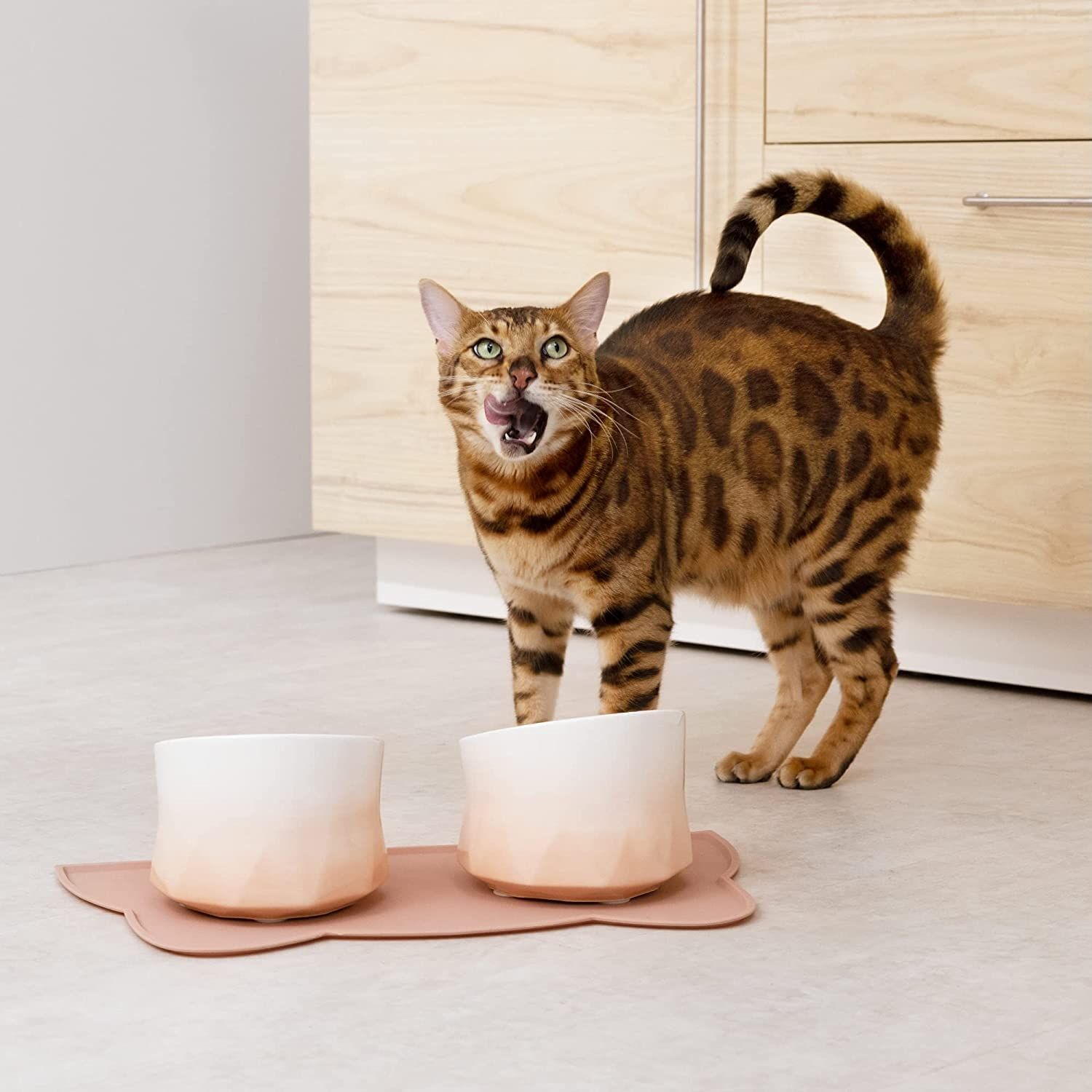navaris-raised-stoneware-cat-bowls-set-of-2-with-mat-set-me-2-bol-fagitou-kai-nerou-me-vasi-silikonis-gia-katikidia-250-ml-pink-1.jpg