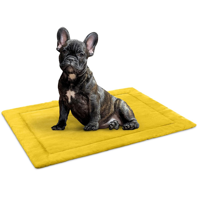 Navaris Dog Travel Bed with Handle - Φορητό Κρεβάτι για Κατοικίδια με Λαβή - 86.5 x 65 x 1 cm - Yellow