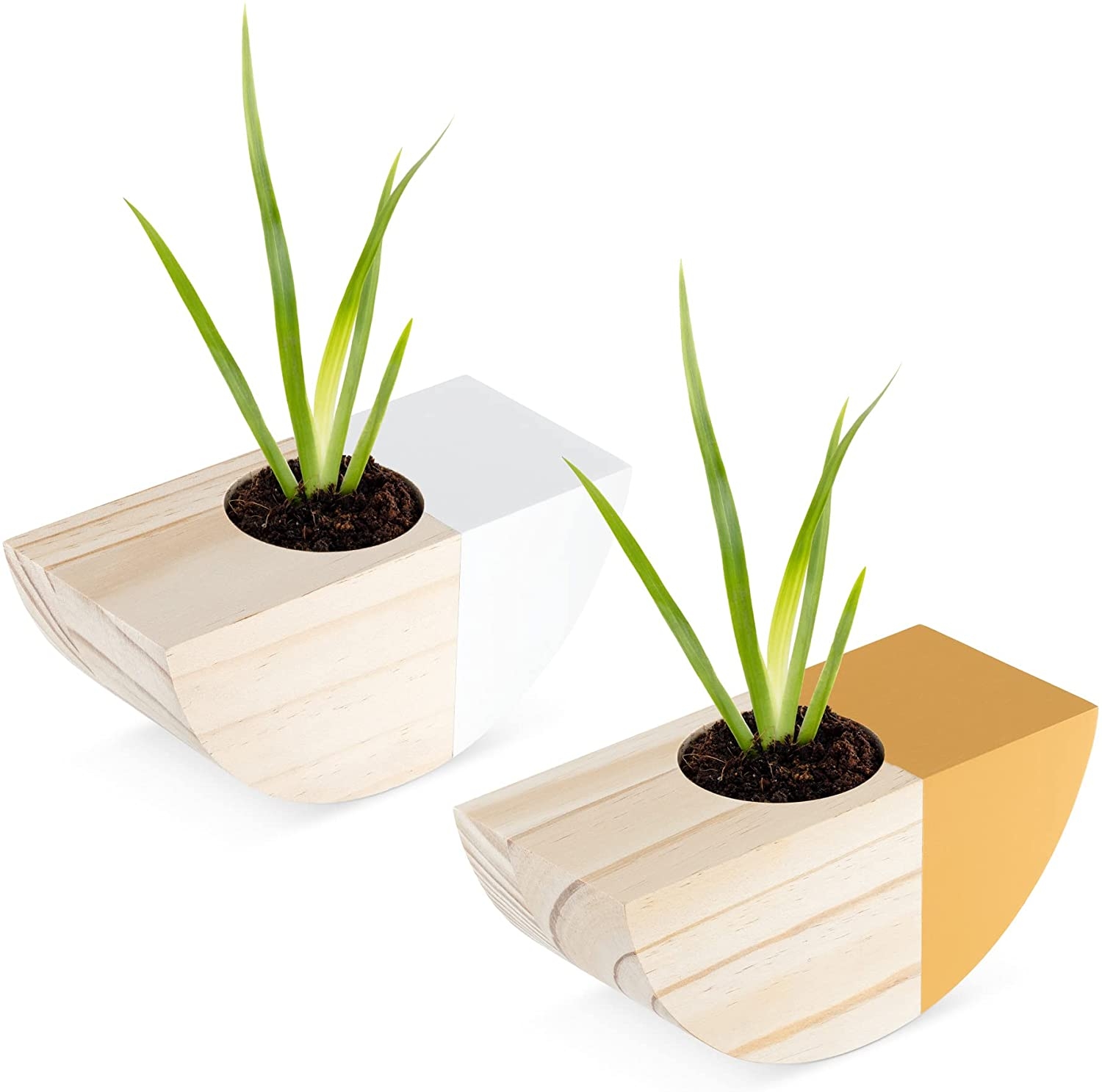 Navaris Hanging Planter Vase Set of 2 - Σετ με 2 Γλάστρες Τοίχου από Ξύλο Πεύκου - 18.3 x 8.3 x 8 cm - Light Brown / White / Orange