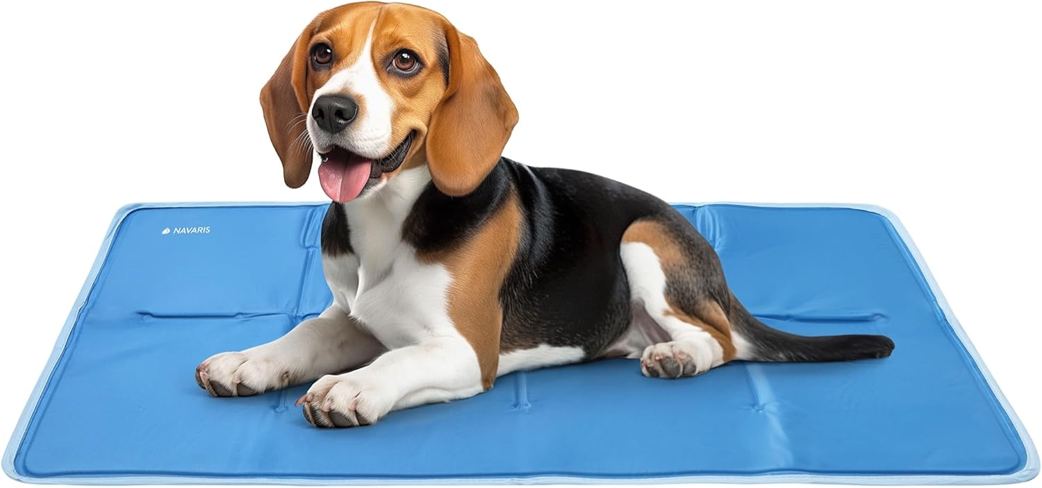 Navaris Solid Gel Pet Cooling Mat - Στρώμα Ψύξης για Κατοικίδια - 60 x 90 cm - Blue