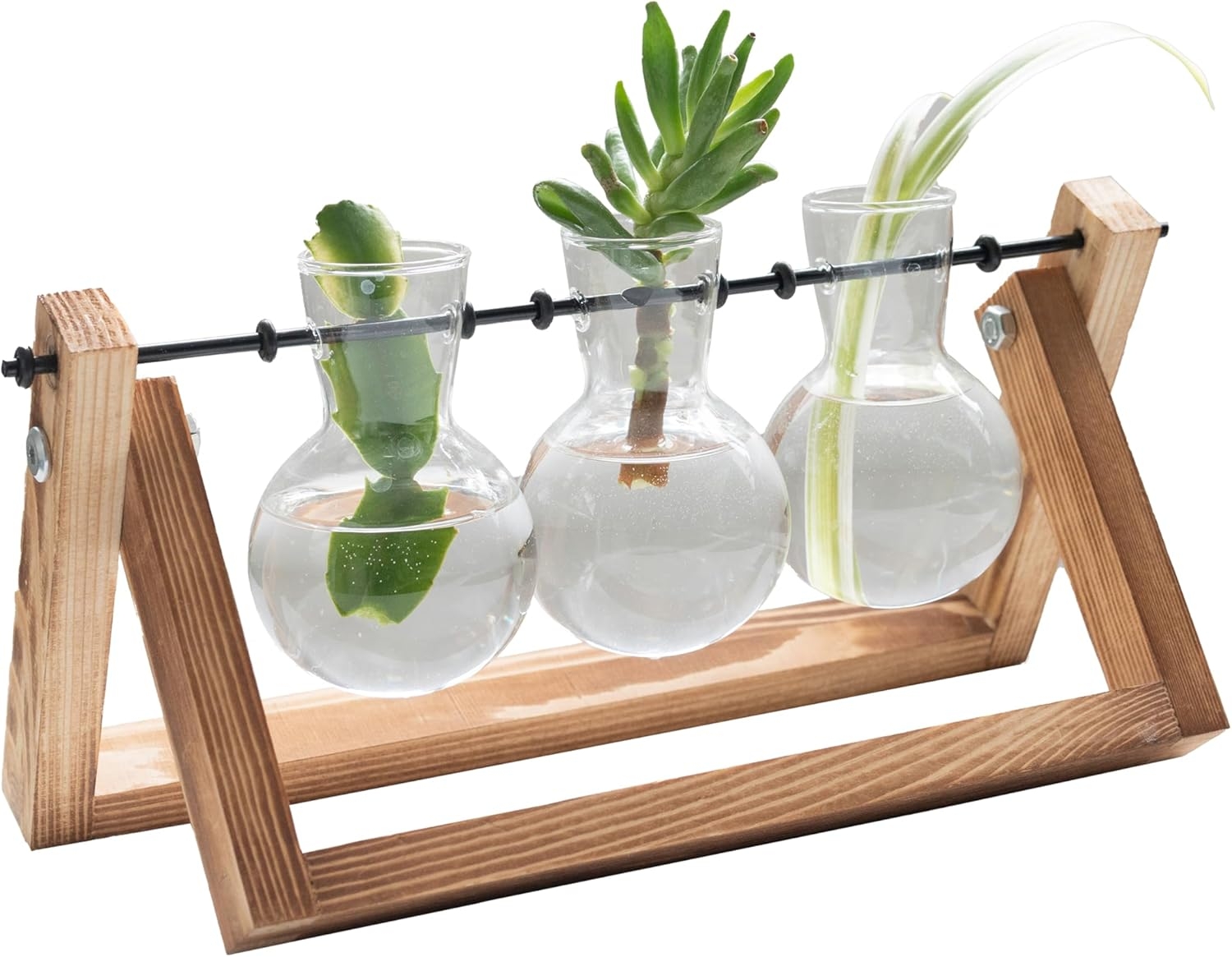 The Source Winning Home & Lifestyle Propagation Vases - Terrarium / Βάση από Ξύλο Πεύκου με 3 x Γυάλινα Βάζα για Υδροπονική Καλλιέργεια