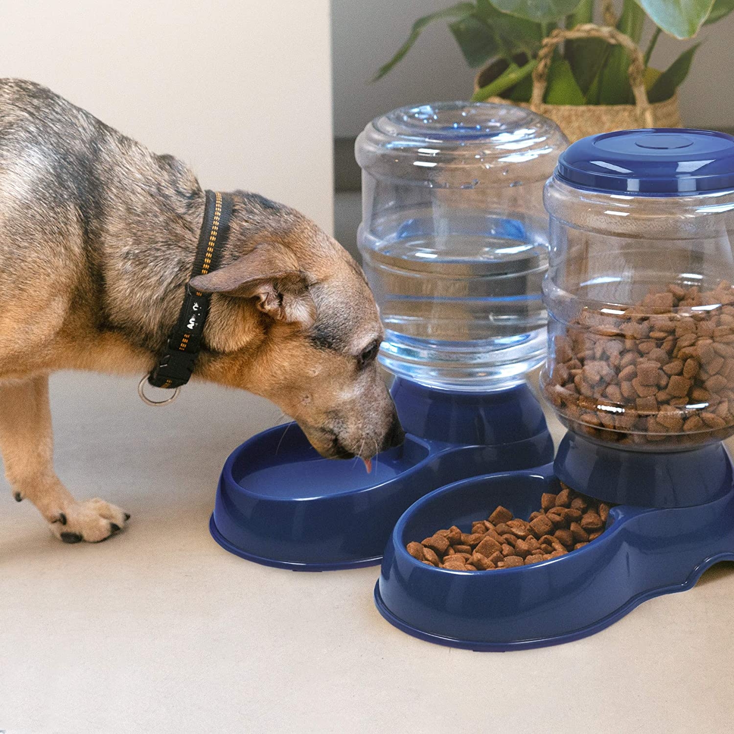 navaris-automatic-pet-feeder-dispenser-set-set-me-2-dianomis-fagitou-kai-nerou-gia-katikidio-3-8-l-dark-blue-1.jpg