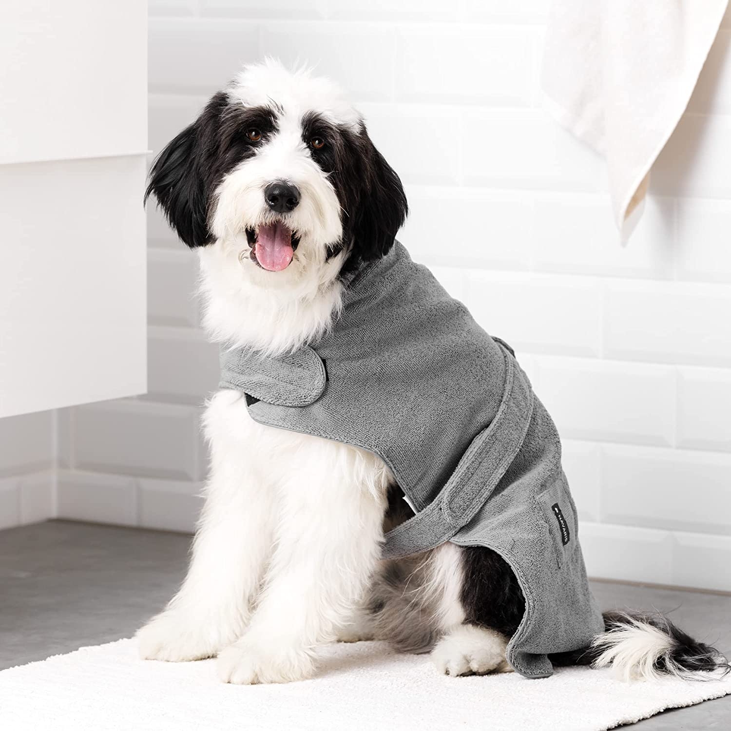 navaris-dog-bathrobe-boyrnouzi-petseta-gia-skylous-medium-1.jpg