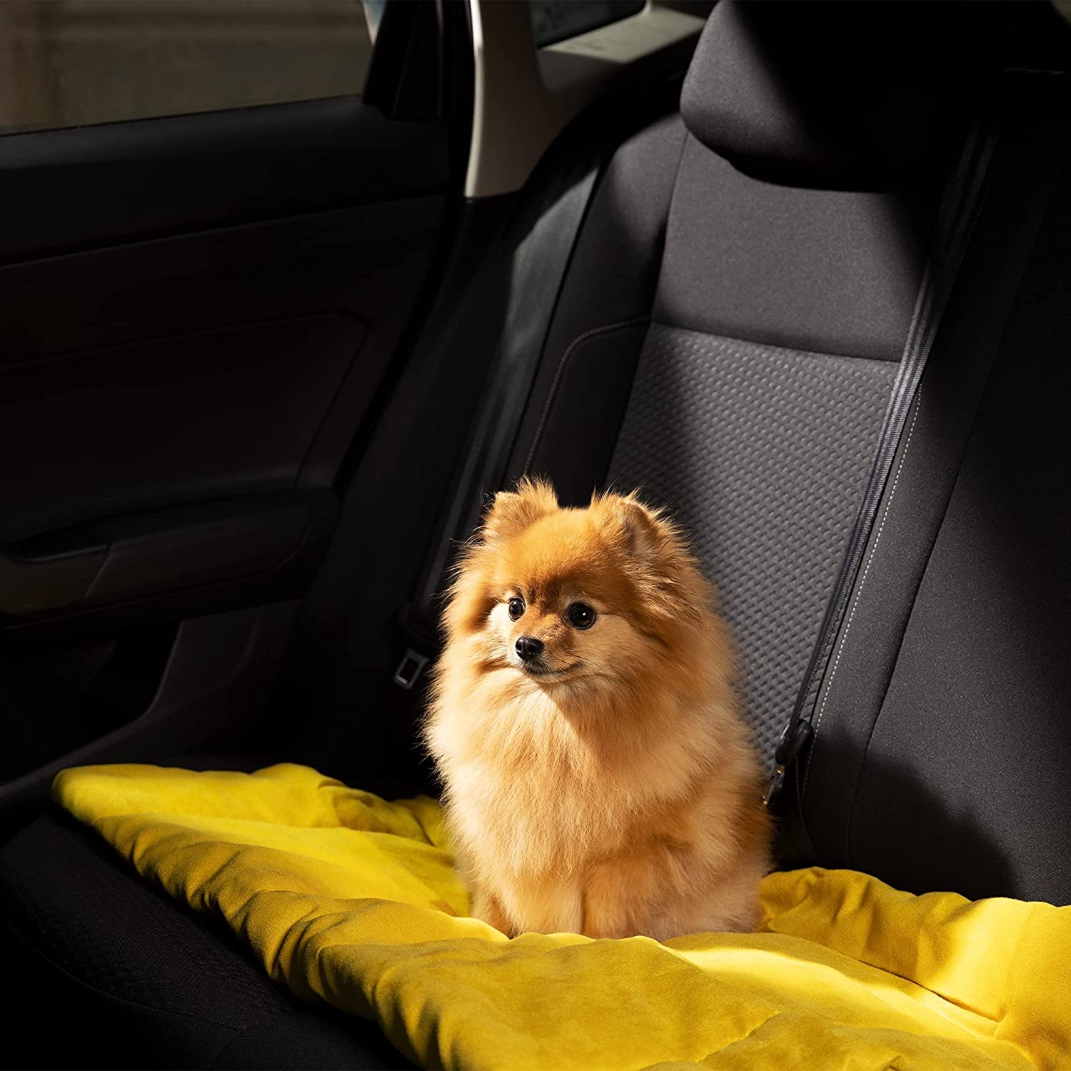navaris-dog-travel-bed-with-handle-forito-krevati-gia-katikidia-me-lavi-86-5-x-65-x-1-cm-yellow-2.jpg