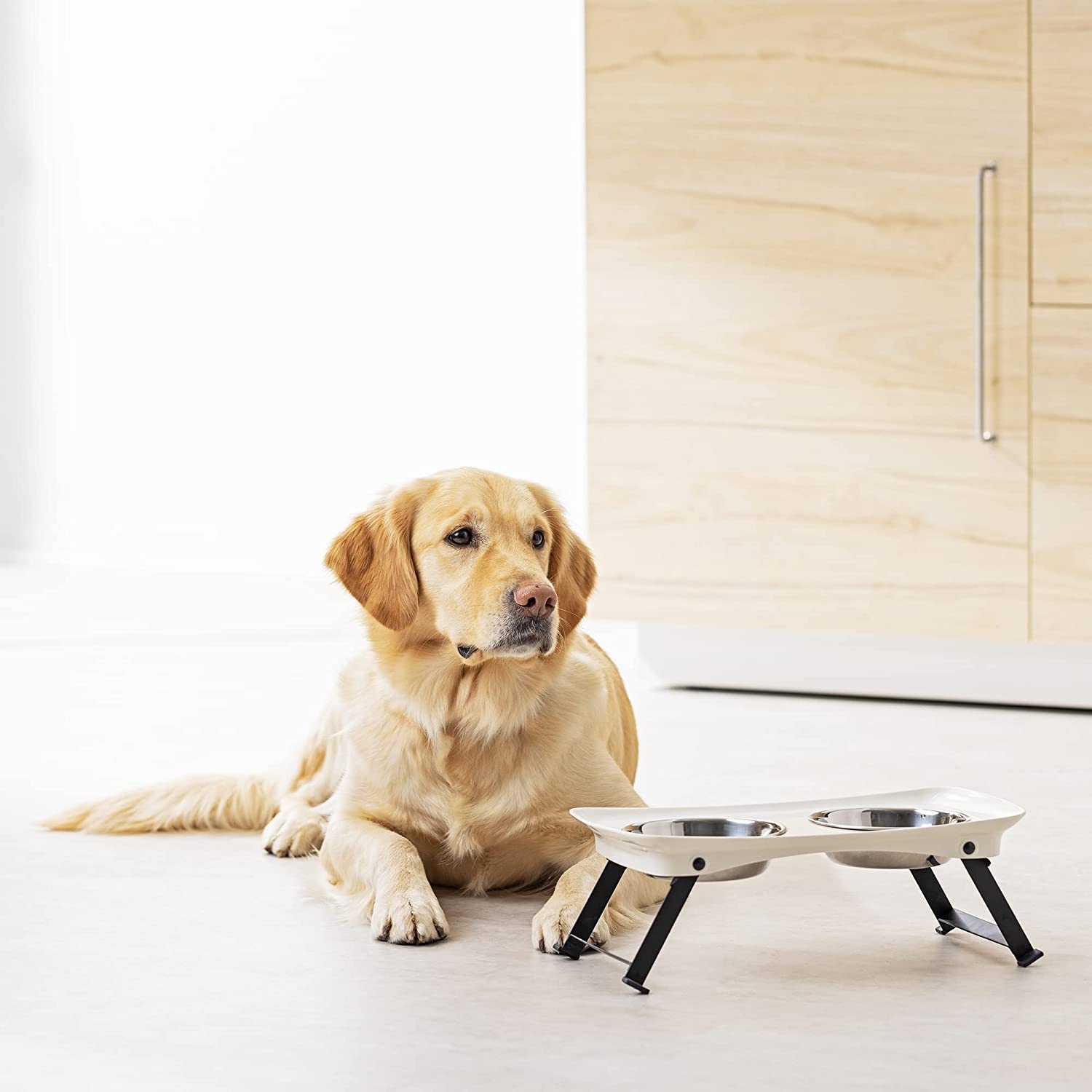 navaris-folding-pet-feeder-set-2-iperipsomena-bol-fagitou-350-ml-apo-anoksidoto-atsali-gia-katikidia-me-anadiploumeni-vasi-white-1.jpg
