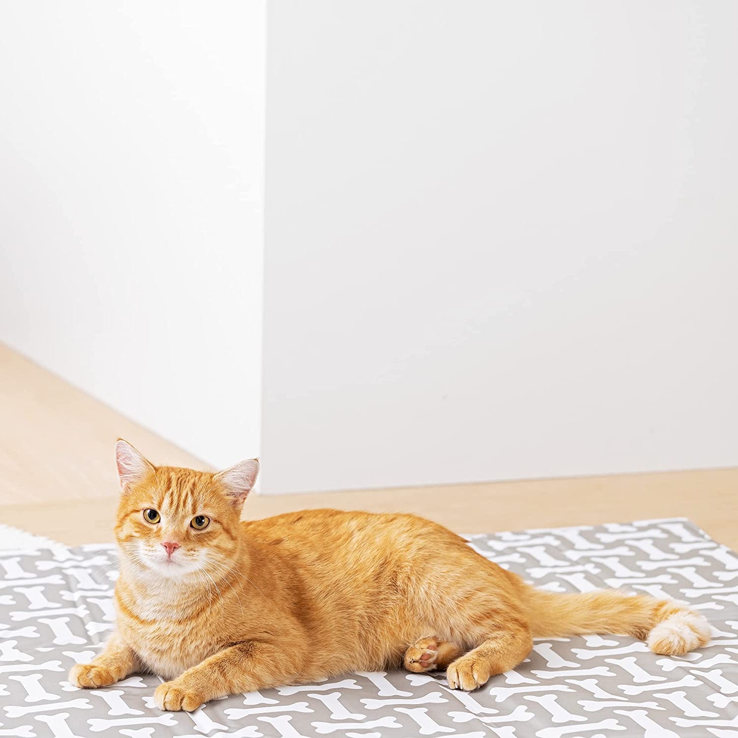 navaris-pet-coolimg-mat-stroma-psiksis-gia-katikidia-81-x-96-cm-design-bone-2_1.jpg