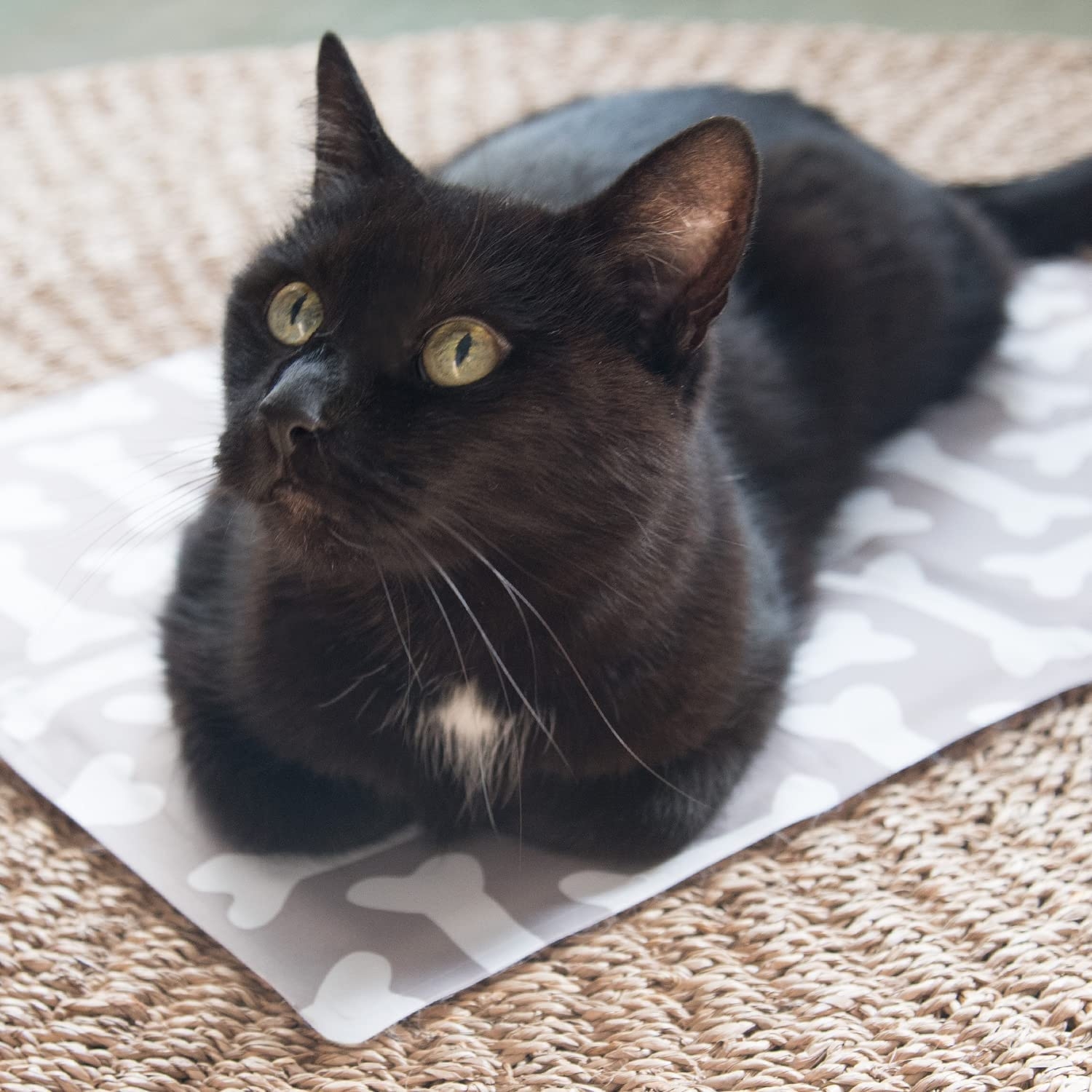 navaris-pet-cooling-mat-stroma-psiksis-gia-katikidia-40-50-cm-design-bone-2.jpg