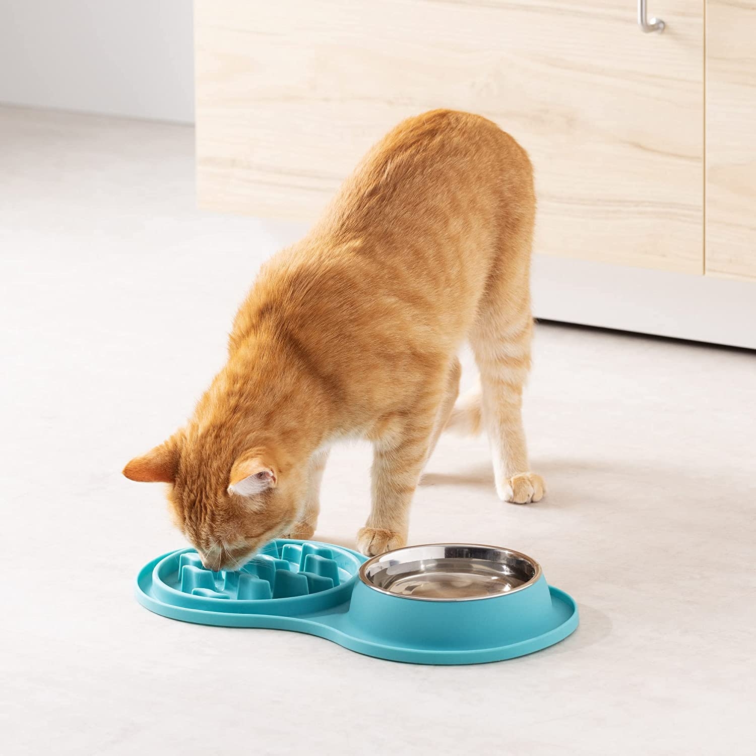 navaris-slow-feeder-and-water-bowl-set-bol-fagitou-argis-kataposis-apo-silikoni-kai-bol-nerou-apo-anoksidoto-atsali-gia-katikidia-turquoise-4.jpg
