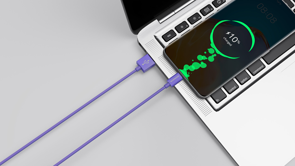 riversong-lotus-08-kalodio-fortisis-kai-metaforas-dedomenon-3-a-usb-se-ltype-c-120-cm-purple-2.png