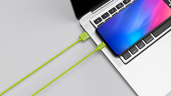 riversong-lotus-08-kalodio-fortisis-kai-metaforas-dedomenon-3-a-usb-se-micro-usb-120-cm-green-2.png