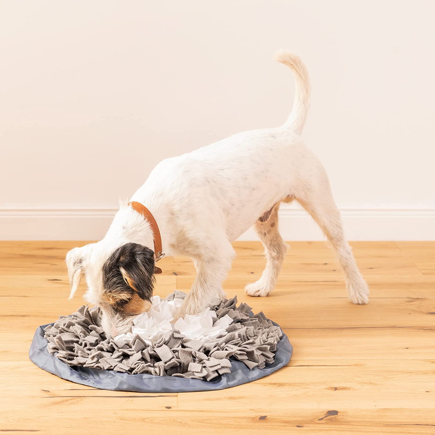 navaris-round-sniffing-rug-for-dogs-ekpaideftiko-paixnidi-osfrisis-gia-skilous-apo-ifasma-oxford-48-cm-grey-white-1.jpg