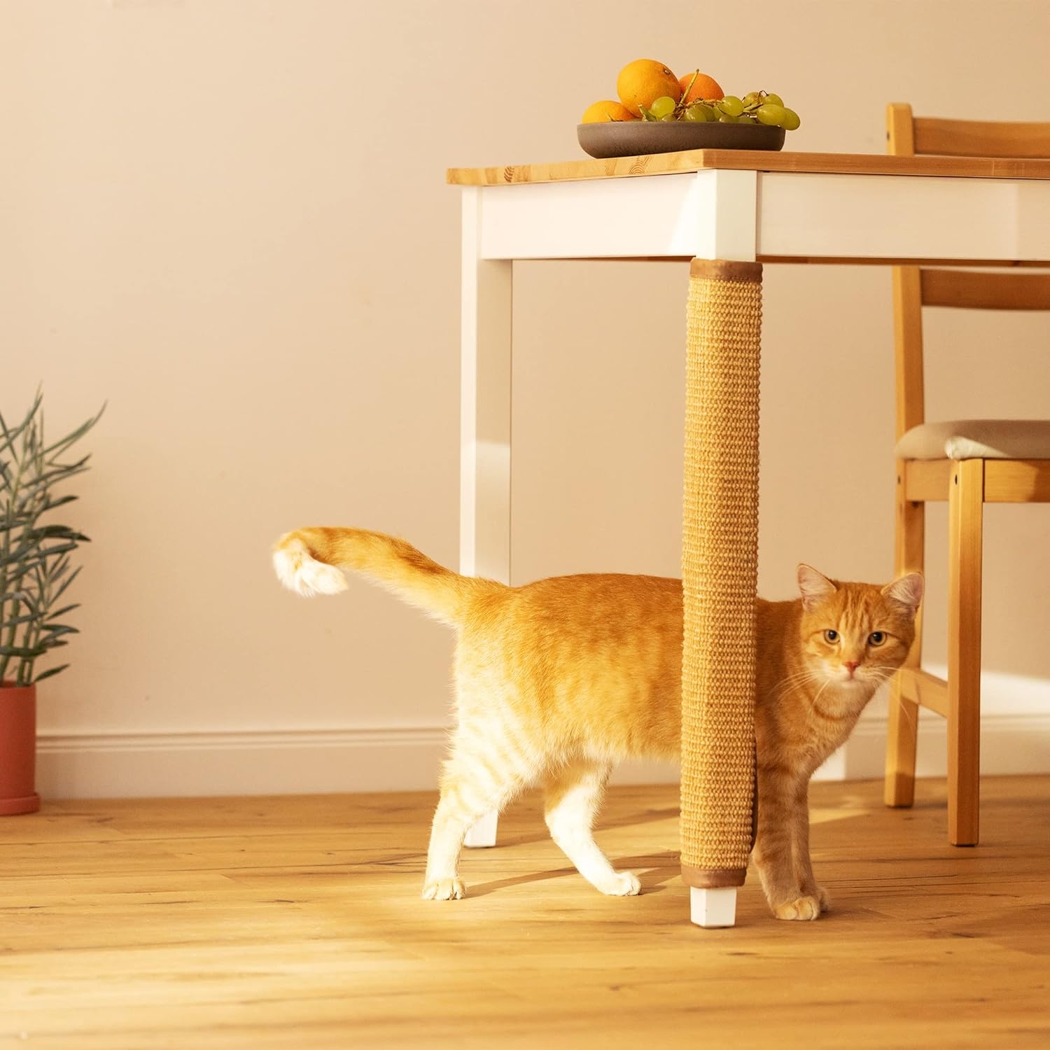 navaris-cat-scratcher-table-protector-onixodromio-apo-sizal-prostateftiko-apo-grtazounies-gatas-gia-podia-epiplon-trapeziou-trapezarias-beige-1.jpg