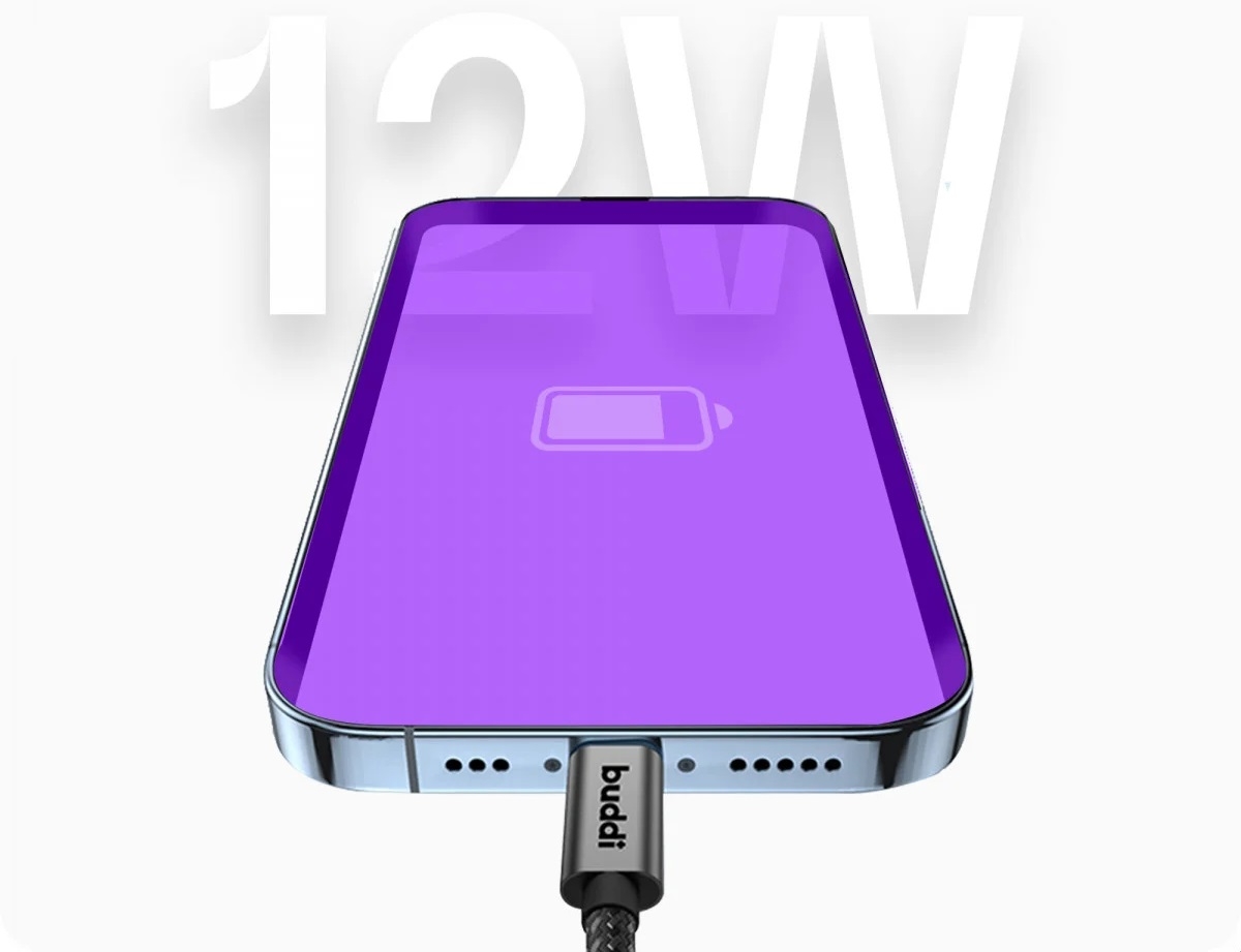 buddi-flex-kalodio-fortisis-kai-metaforas-dedomenon-usb-a-se-lightning-30-cm-12-w-black-5-eti-eggiisi-6.jpg