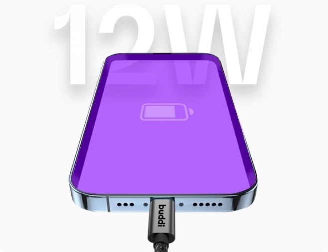 buddi-flex-kalodio-fortisis-kai-metaforas-dedomenon-usb-a-se-type-c-100-cm-12-w-black-5-eti-eggiisi-9.jpg