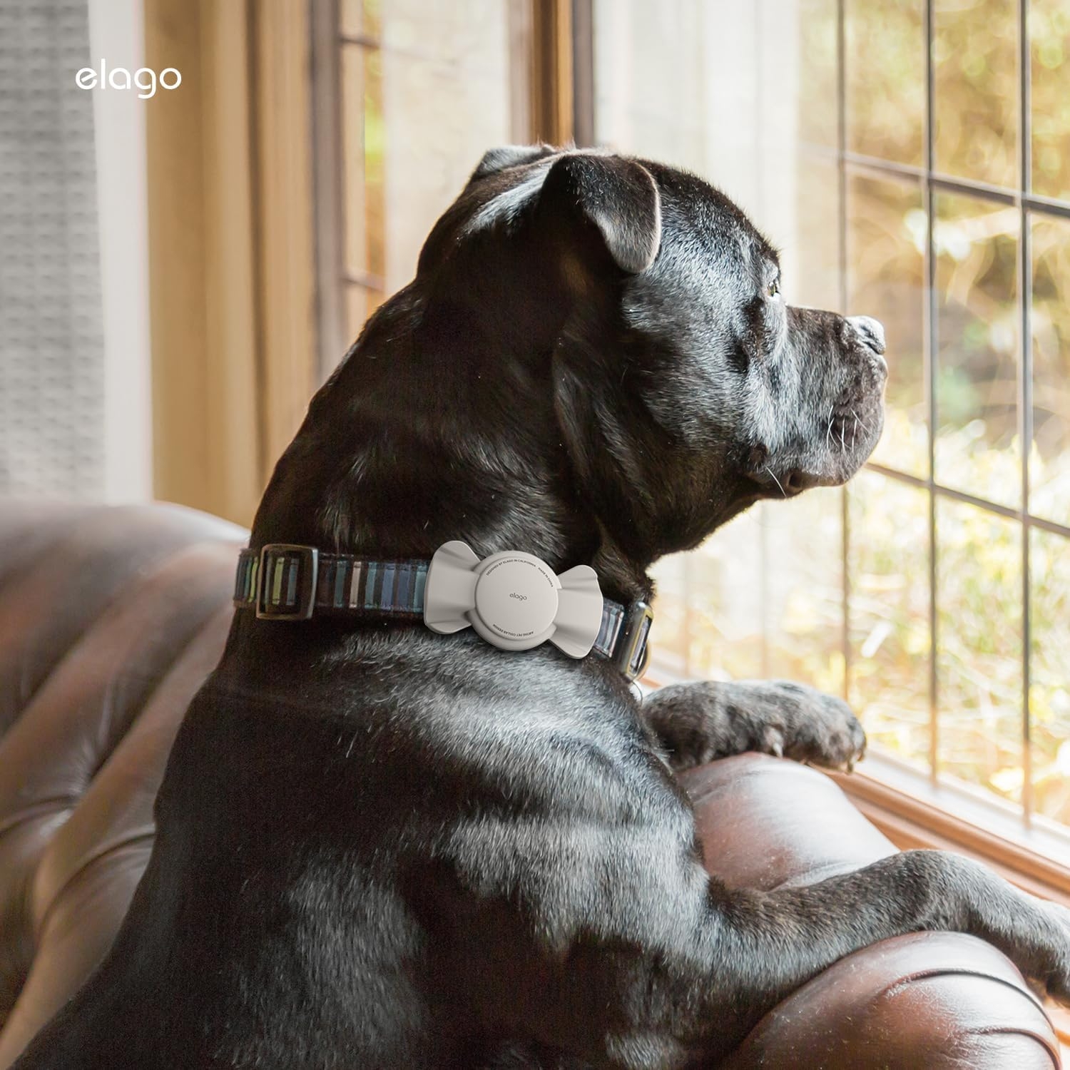 elago-ribbon-pet-collar-case-thiki-premium-silikonis-apple-airtag-gia-kollaro-katoikidion-stone-7.jpg