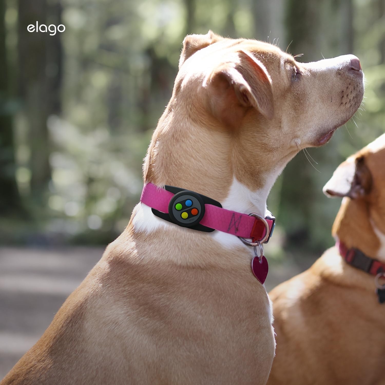 elago-w5-pet-collar-case-thiki-premium-silikonis-apple-airtag-gia-kollaro-katoikidion-black-6.jpg