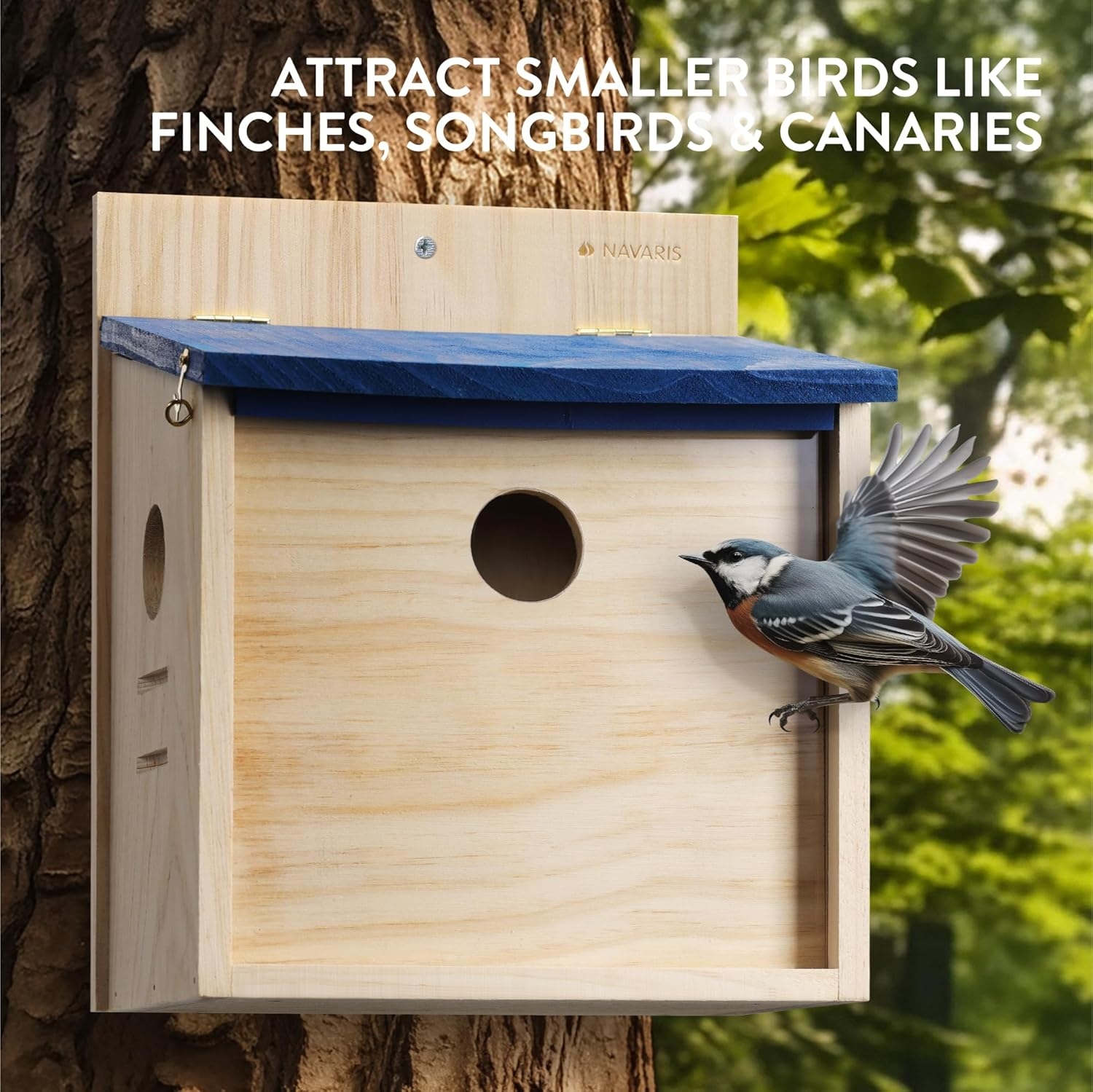 navaris-bird-house-with-2-walls-spiti-taistra-poulion-ptinon-me-3-eisodous-kai-2_panel-apo-ksilo-pefkou-kai-akriliko-21-18-26-cm-blue-beige-3.jpg