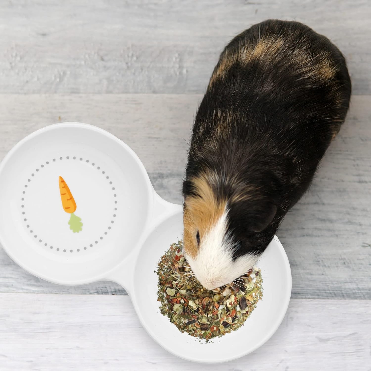 navaris-ceramic-twin-feeding-bowl-for-small-animals-keramiko-diplo-bol-fagitou-kai-nerou-gia-mikra-katoikidia-white-1.jpg