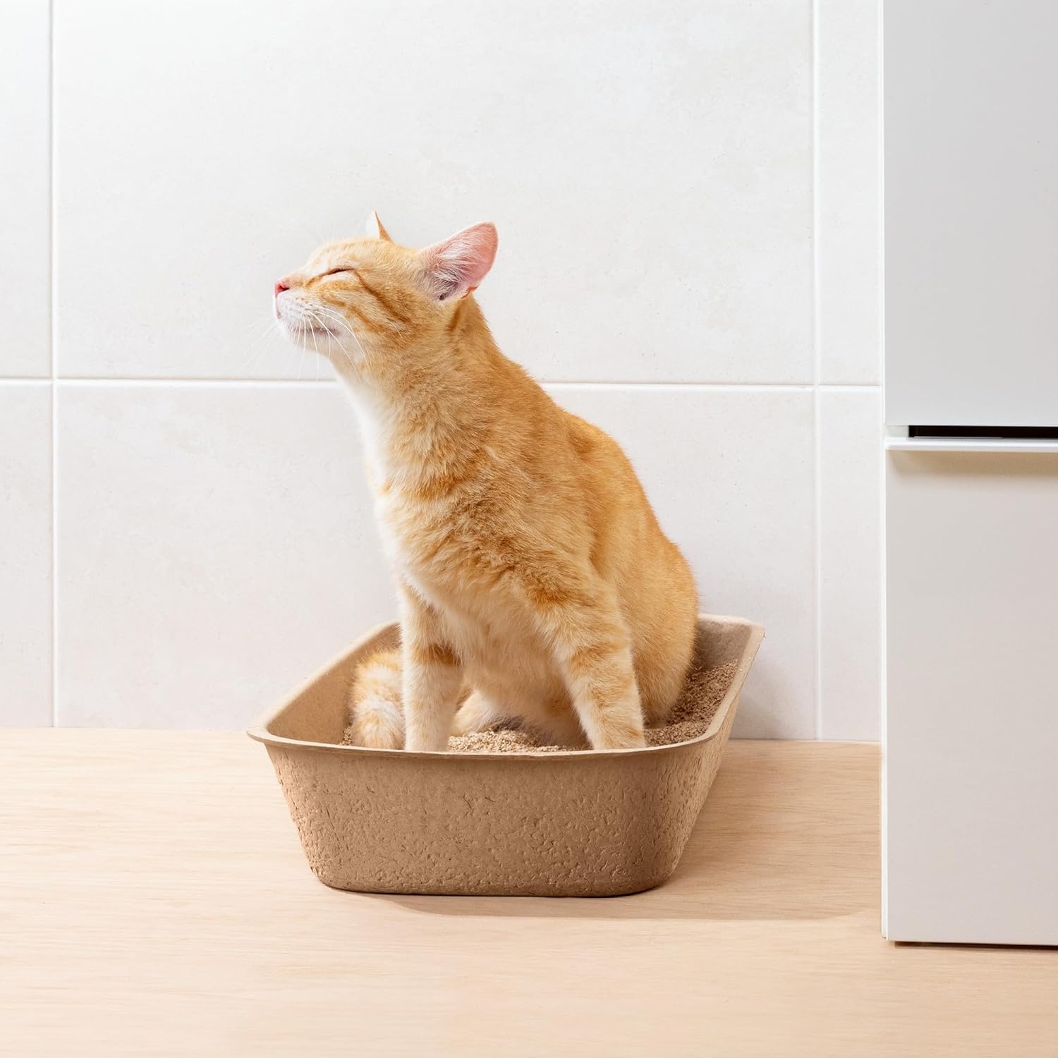 navaris-disposable-cat-litter-trays-set-of-5-l-toualeta-lekani-aporrimaton-gatas-mias-xrisis-apo-xartoni-47-34-22-cm-light-brown-6.jpg