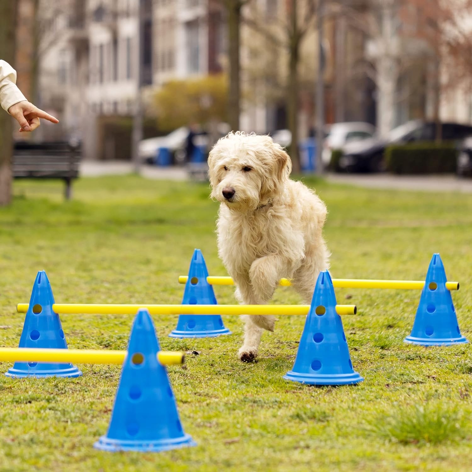 navaris-dog-training-cone-agility-equipment-set-set-embodion-ekpaidefsis-sklilou-me-6-konous-30-23-cm-kai-3-kontaria-100-cm-blue-1.jpg