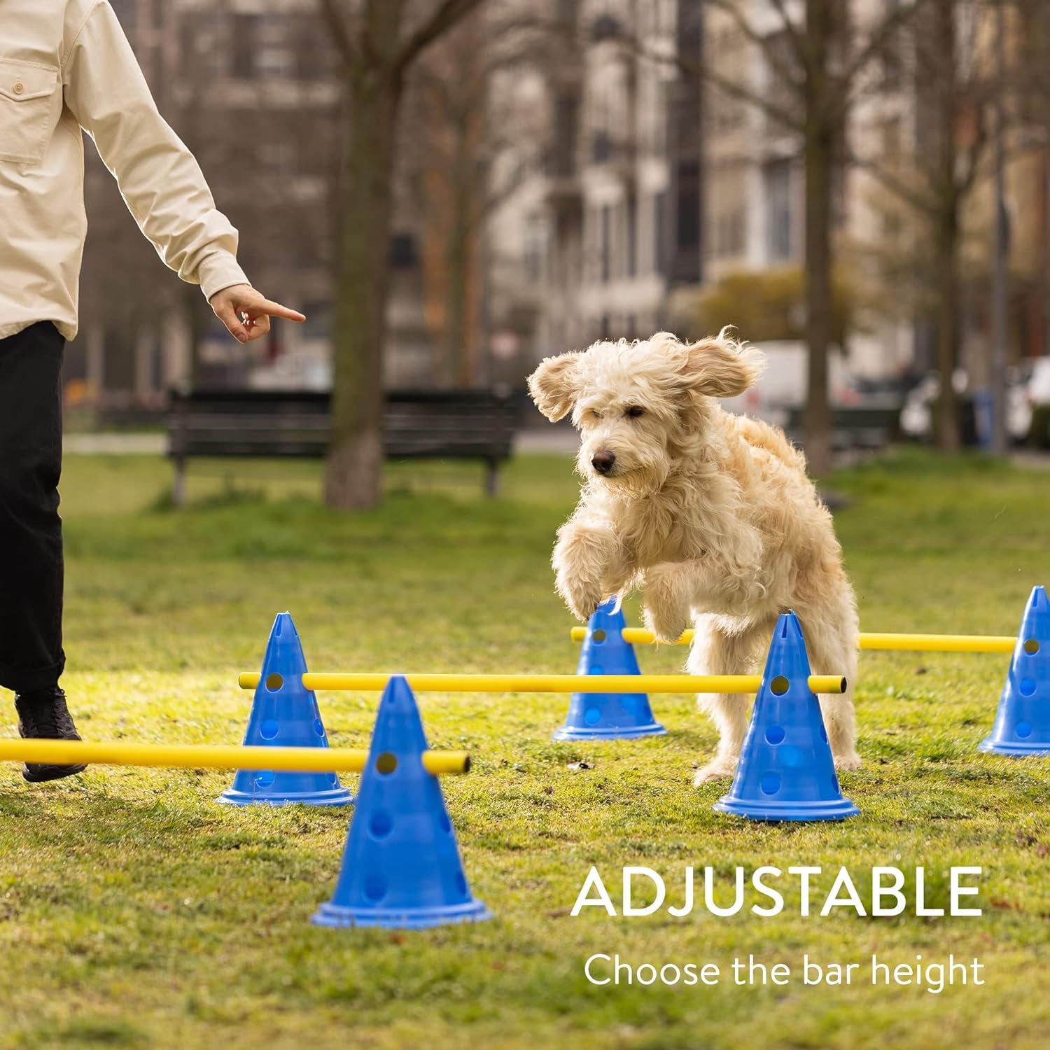 navaris-dog-training-cone-agility-equipment-set-set-embodion-ekpaidefsis-sklilou-me-6-konous-30-23-cm-kai-3-kontaria-100-cm-blue-2.jpg