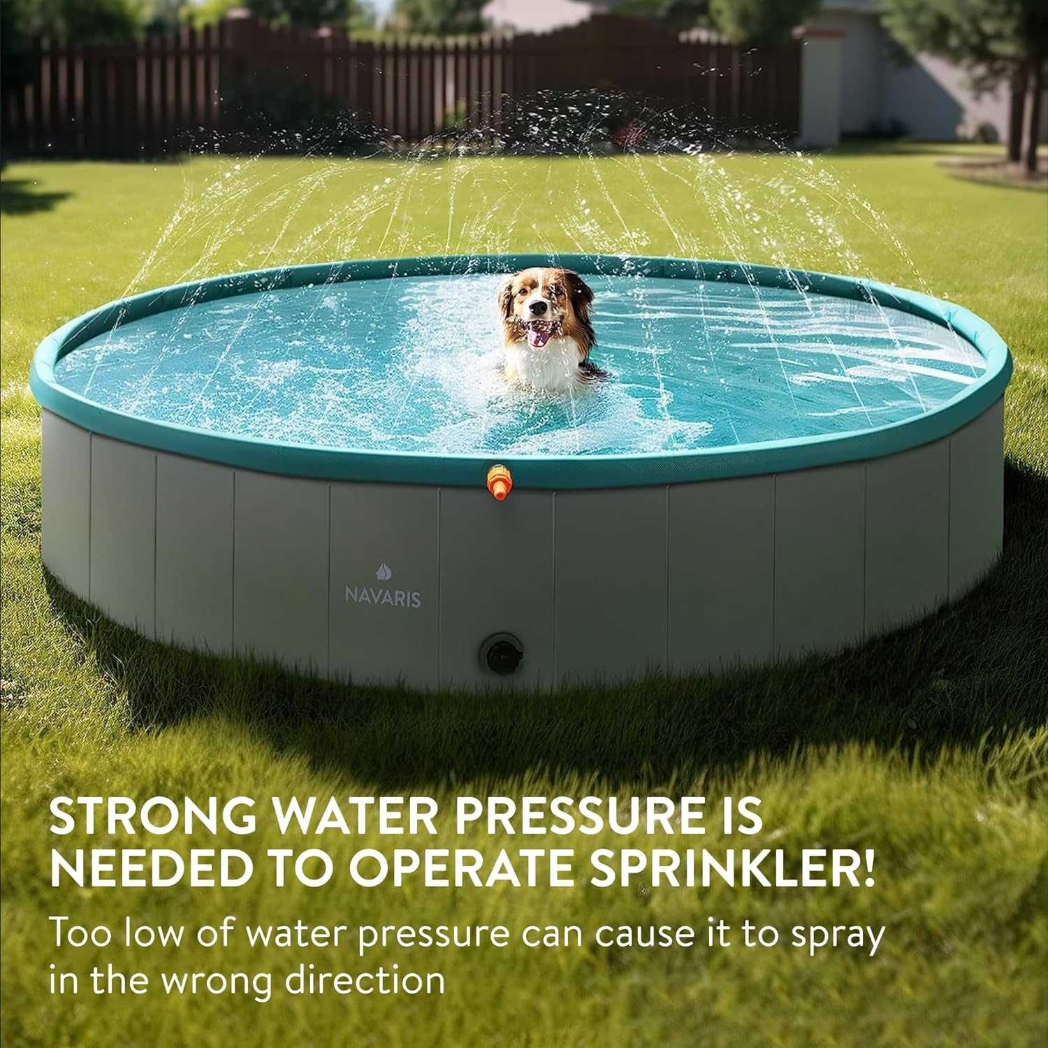 navaris-pool-xl-with-sprinkler-xl-pisina-me-sidrivani-gia-skilous-apo-pvc-160-160-30-cm-450-litre-blue-1.jpg