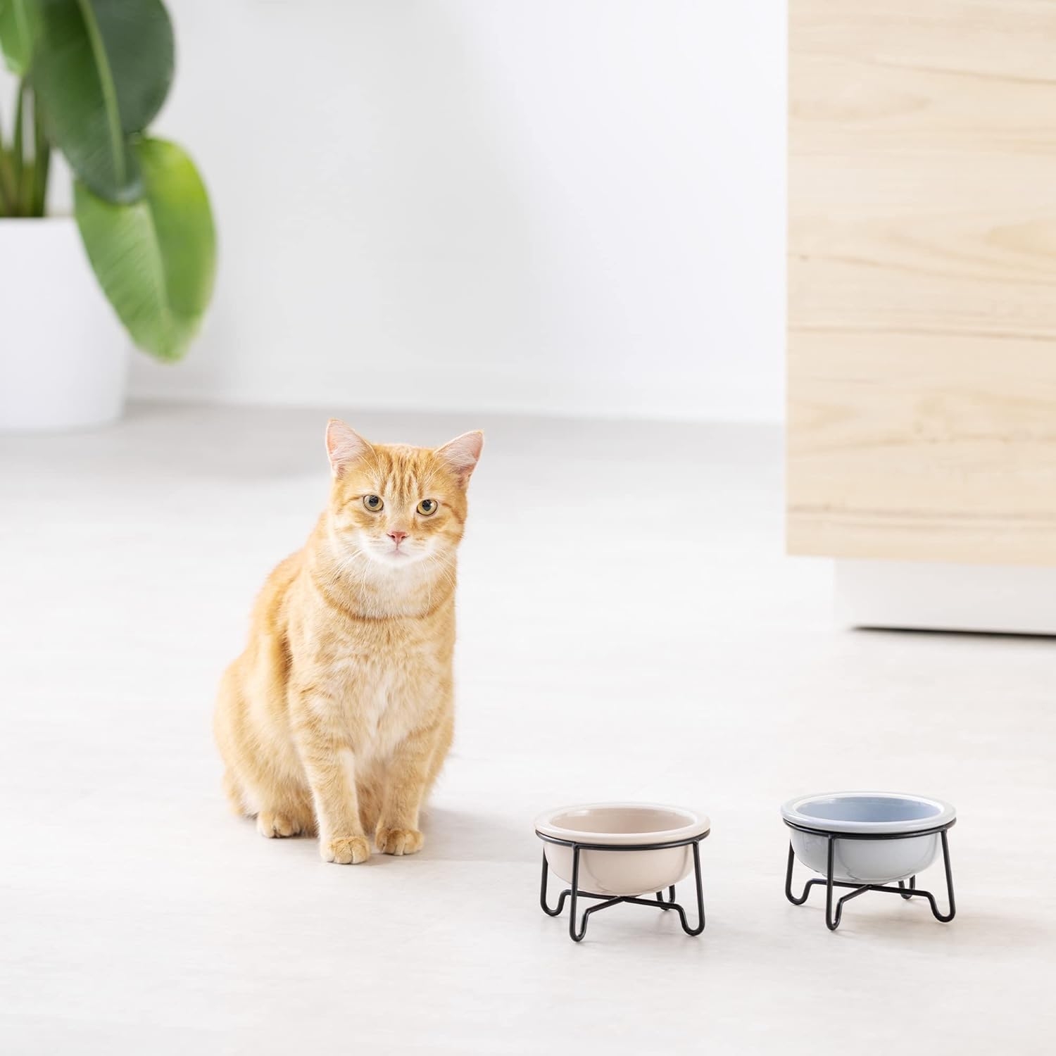 navaris-raised-ceramic-pet-bowls-with-metal-stands-set-me-2-anipsomena-keramika-bol-fagitou-kai-nerou-se-metallikes-vaseis-gia-katoikidia-380-ml-beige-gray-1.jpg