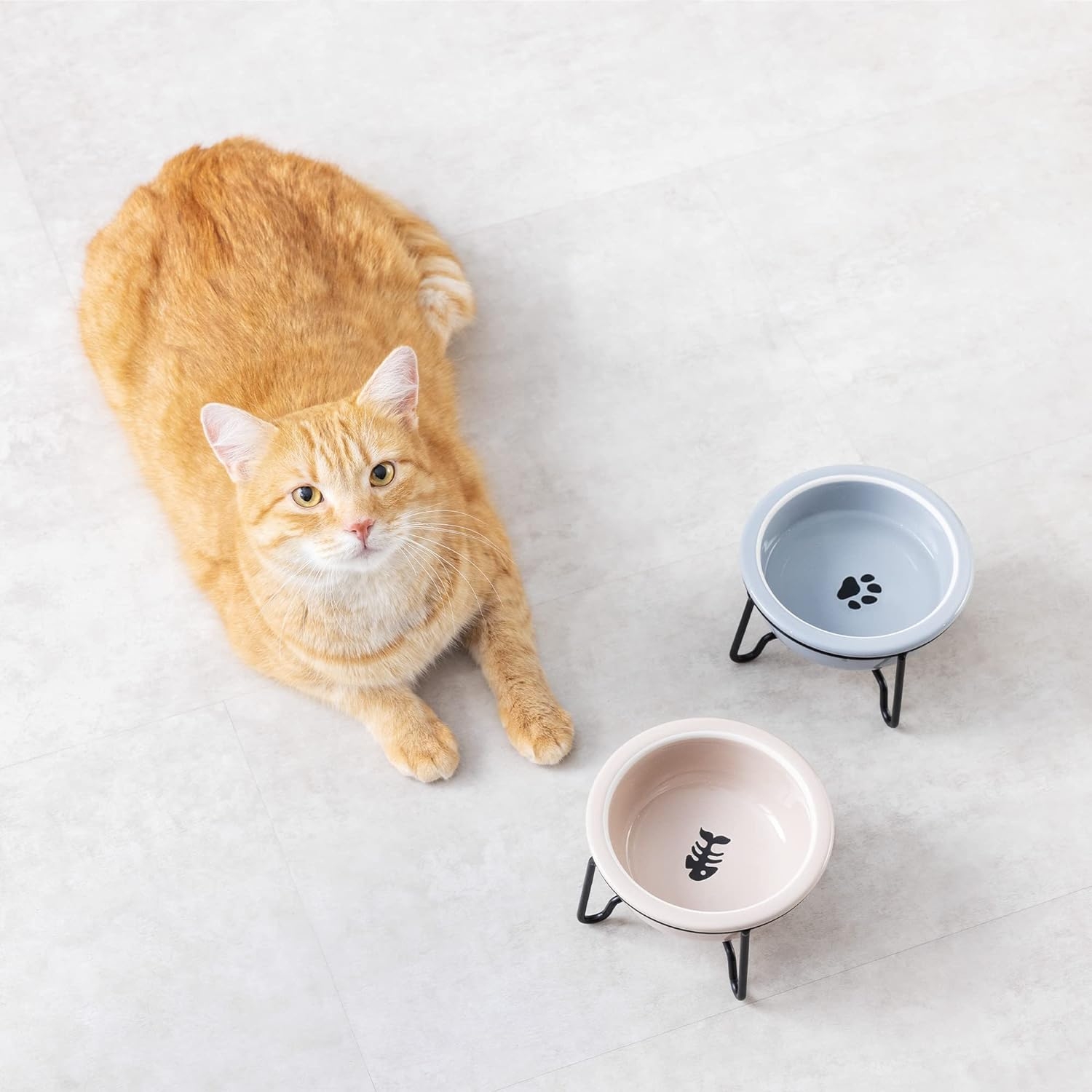 navaris-raised-ceramic-pet-bowls-with-metal-stands-set-me-2-anipsomena-keramika-bol-fagitou-kai-nerou-se-metallikes-vaseis-gia-katoikidia-380-ml-beige-gray-5.jpg