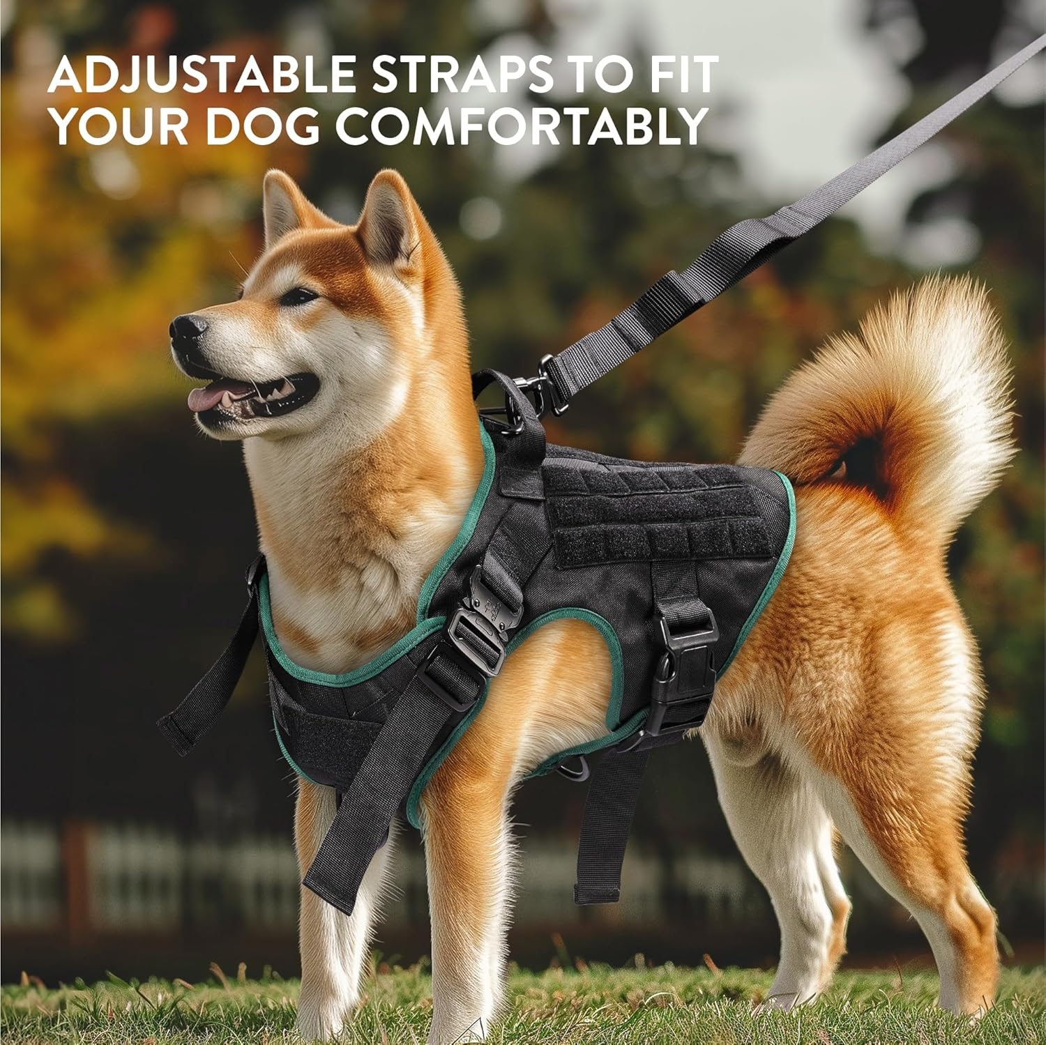navaris-tactical-harness-and-vest-set-set-louri-odigos-skilou-me-gileko-taktikis-gia-ekpedefsi-medium-black-green-4.jpg