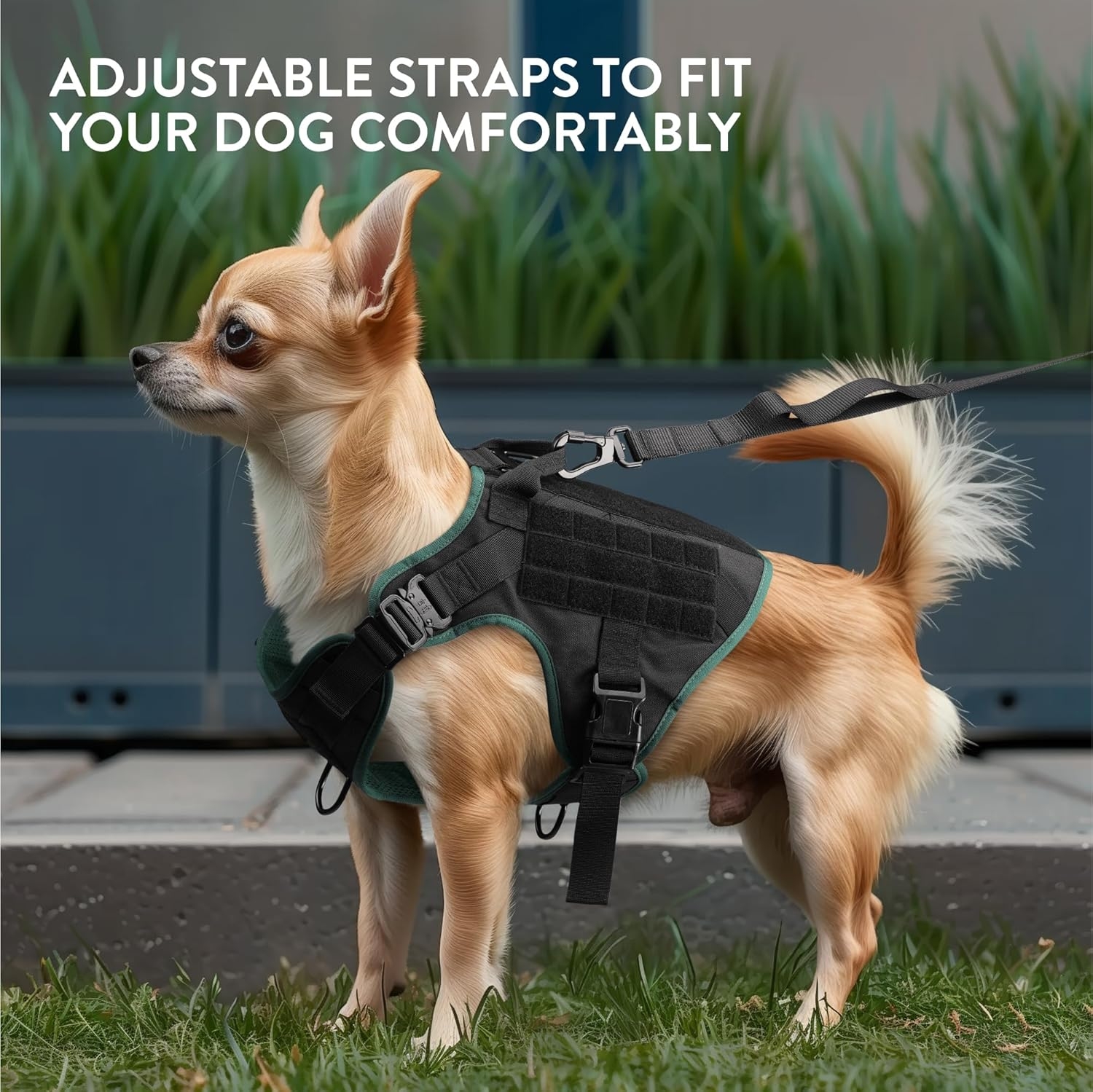 navaris-tactical-harness-and-vest-set-set-louri-odigos-skilou-me-gileko-taktikis-gia-ekpedefsi-small-black-green-1.jpg