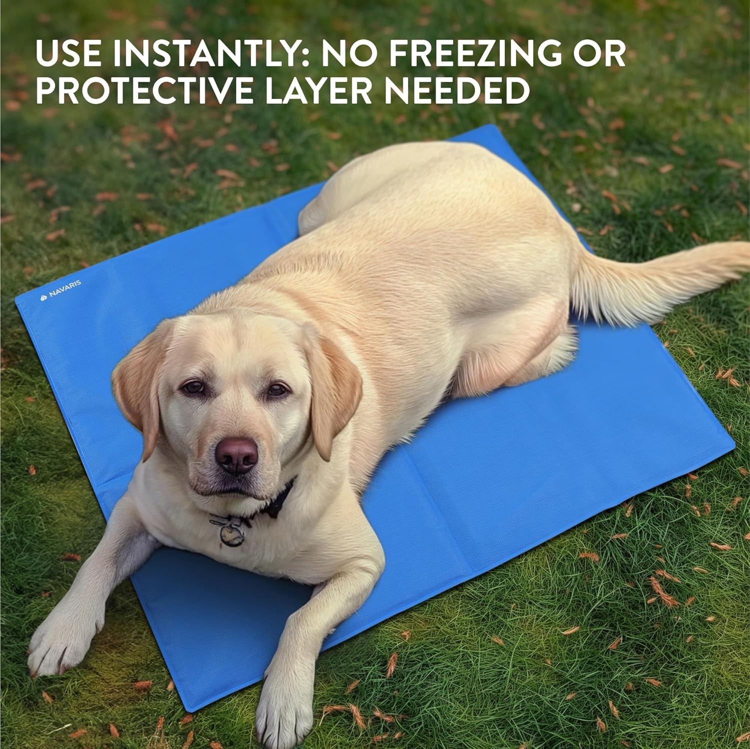 navaris-textilene-pet-cooling-mat-stroma-psiksis-gia-katoikidia-81-96-cm-blue-1.jpg