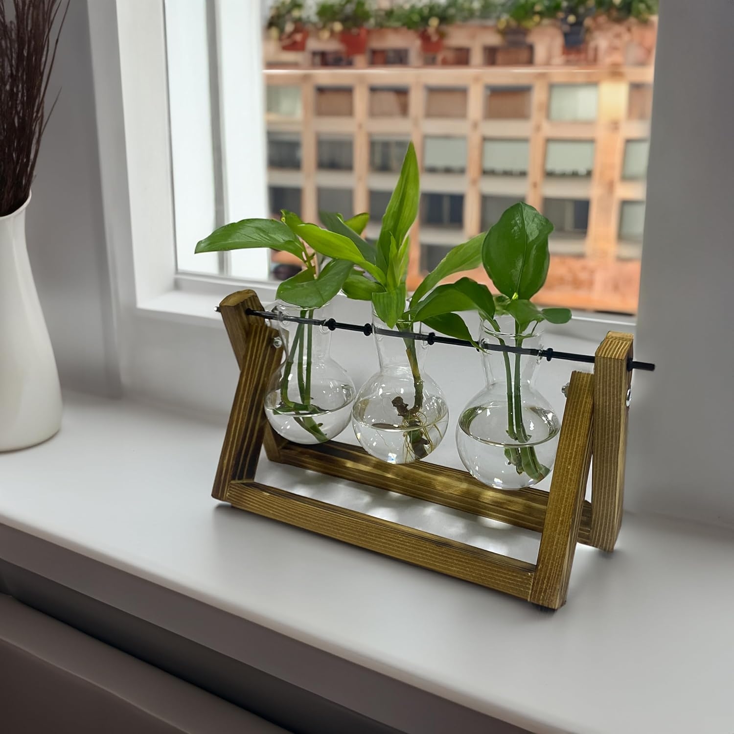 the-source-winning-home-and-lifestyle-propagation-vases-terrarium-vasi-apo-skilo-pefkou-me-3-gyalina-vaza-gia-idroponiki-kalliergia-1.jpg