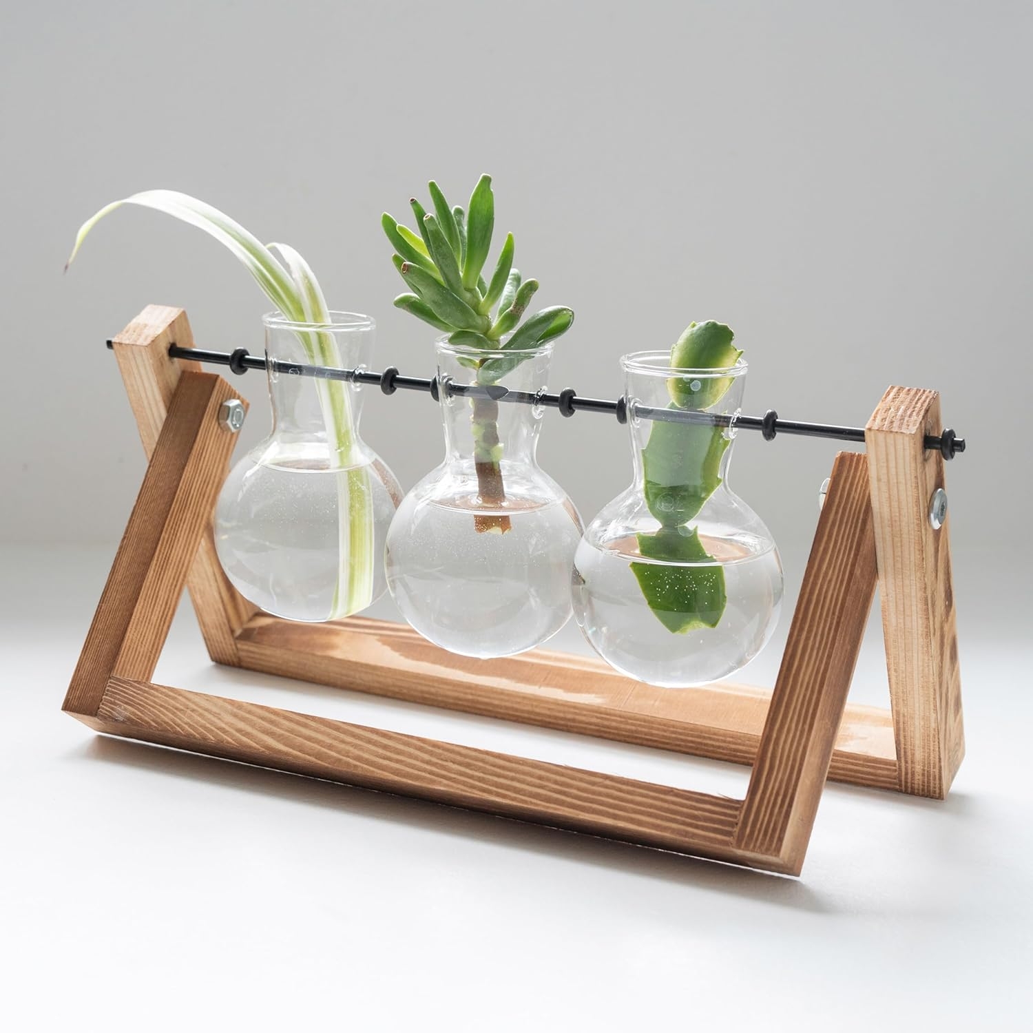 the-source-winning-home-and-lifestyle-propagation-vases-terrarium-vasi-apo-skilo-pefkou-me-3-gyalina-vaza-gia-idroponiki-kalliergia-2.jpg