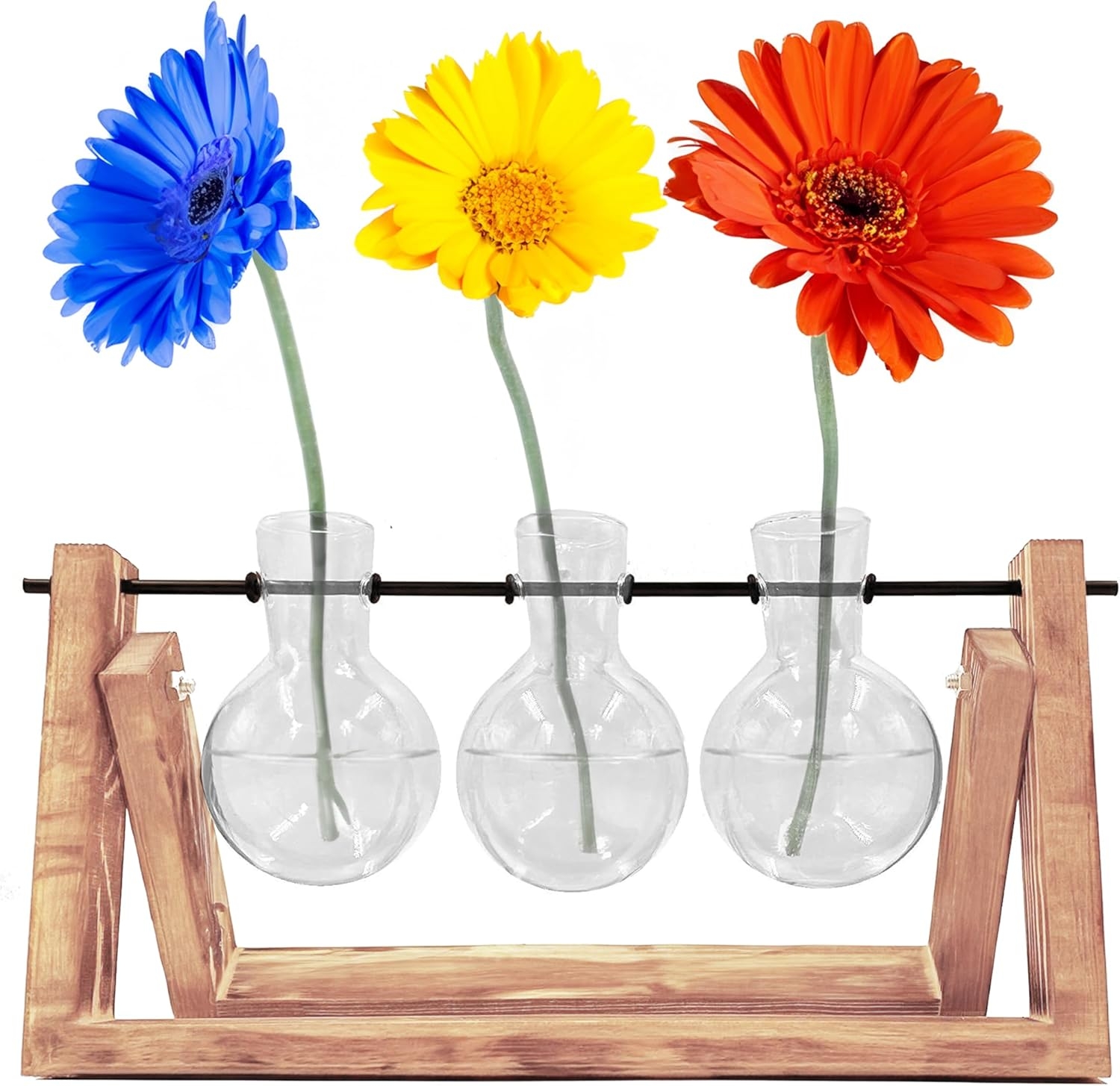 the-source-winning-home-and-lifestyle-propagation-vases-terrarium-vasi-apo-skilo-pefkou-me-3-gyalina-vaza-gia-idroponiki-kalliergia-3.jpg