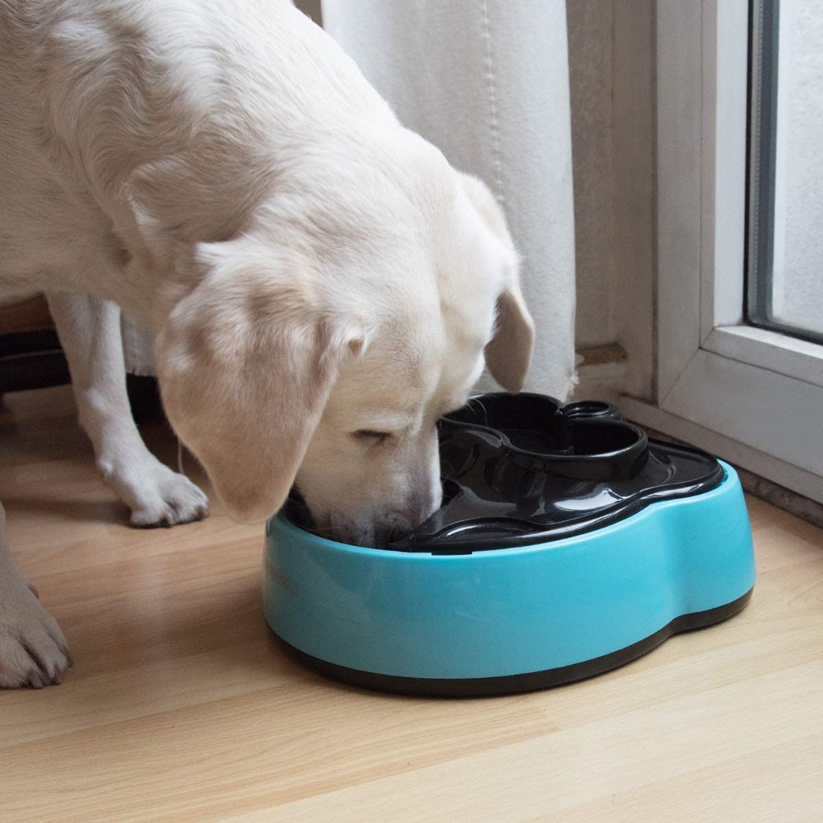 navaris-automatic-food-and-water-dispenser-aftomati-taistra-fagitou-kai-nerou-me-xronodiakopti-gia-katikidia-1-6-l-blue-black-1_1.jpg