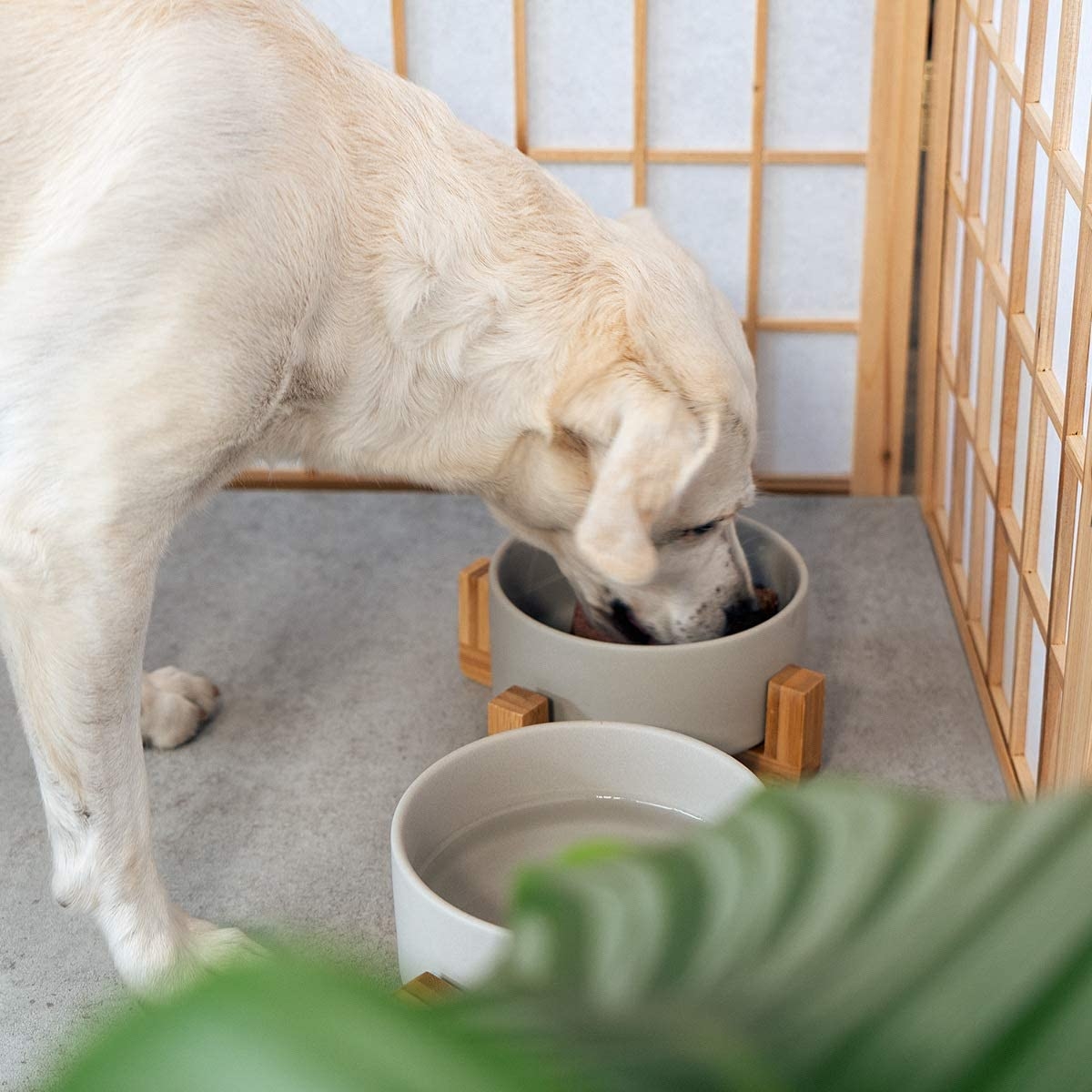 navaris-ceramic-elevated-cat-bowls-set-me-2-bol-fagitou-kai-nerou-me-vasi-apo-bamboo-gia-katikidia-grey-brown-5.jpg